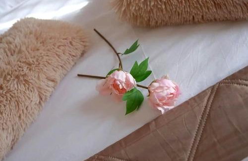 Calma Verde Retreat - Private Villa - Foto 32