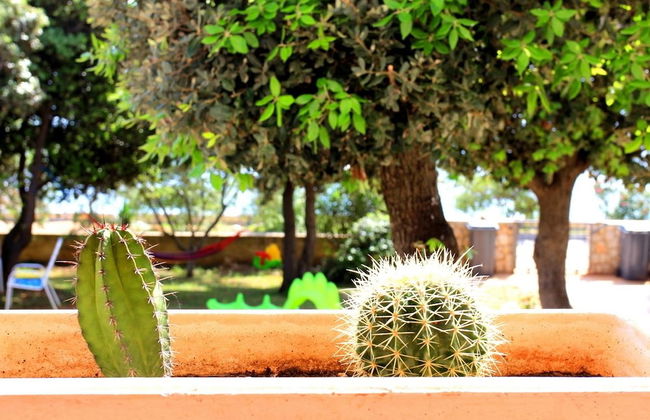 Apartments Mak - Photo 42