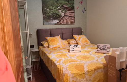 App Mariuccia - Foto 18