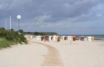 Bärenklau - Foto 15