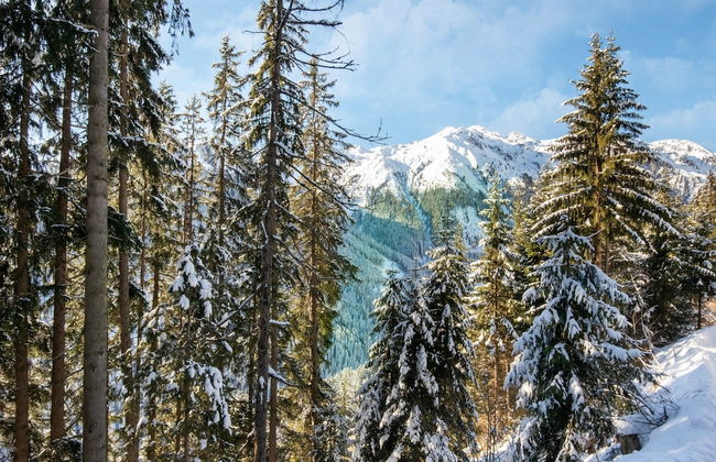 Moiklerhof Apartment - Foto 36