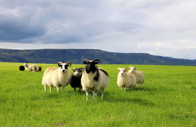 Austurey cottages - Foto 18