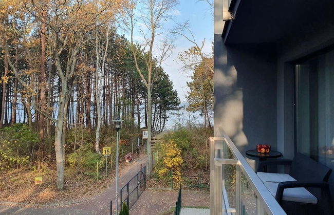 DWIE SOSNY-Apartament na wydmie - 365PAM - Photo 66