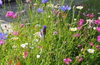 Ferienwohnung Bergahorn - Photo 23