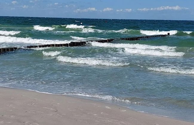 Apartment, Zingst - Foto 77