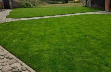 Noclegi Tomaszkowo - Photo 6