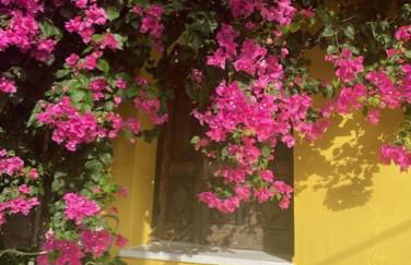 Modern Apartment in Ireon - Foto 27