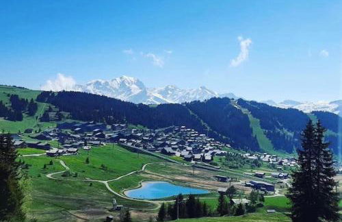 APPARTEMENT COSY AUX SAISIES n1 - Foto 3