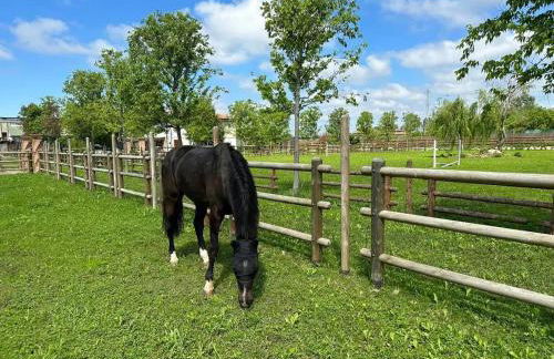 Tenuta Oasi del cavallo - Foto 7