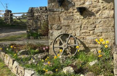 Brookside - Foto 20
