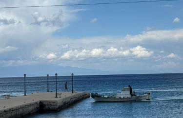 Despoina Meletiadou Nea Roda - Foto 44