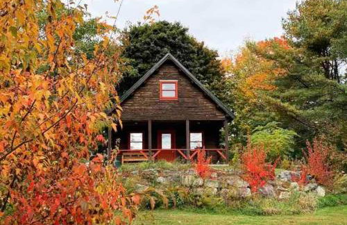 Enchanted Forest Cabin - Foto 9