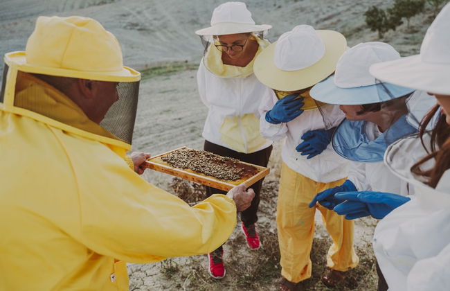 Agriturismo Podere Diacceroni - Foto 38