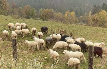 Domek Tatry - Stacja Wierchowa 972 m - Foto 54