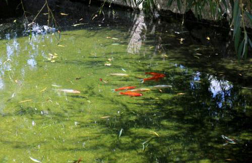 Casa da Eira - Foto 34