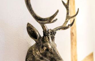 Apartment Friedrich-Wilhelm II by Interhome - Photo 8