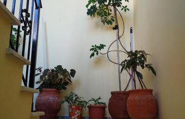 Summer Dream - Foto 10