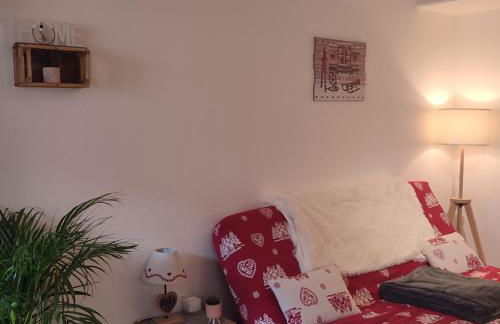 Furnished & independant flat - Brides-les-bains - Thermal spa 50m - Foto 8