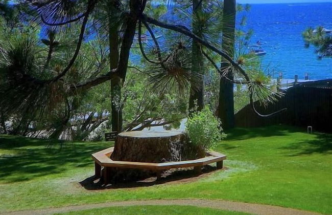 Twin Top Lodge - Photo 14