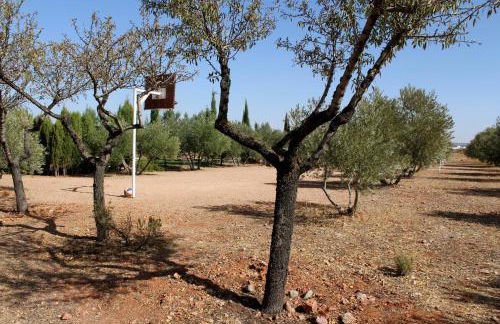 Casas Rurales el Palomar - Foto 22