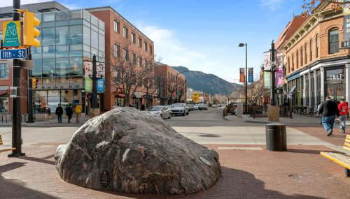 1010 Rosehill Dr - Foto 5