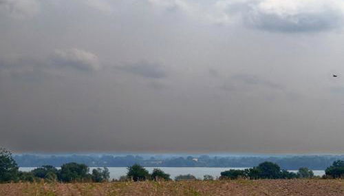 Finca Franca - Foto 5