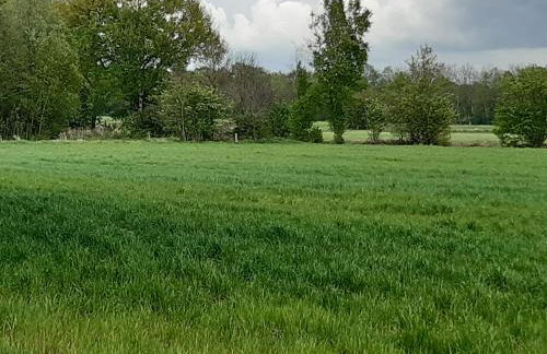 Auf dem Lande - Foto 10