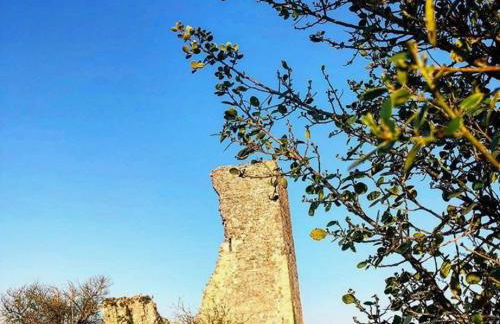 Belle demeure au coeur des Ménafauries - Photo 30