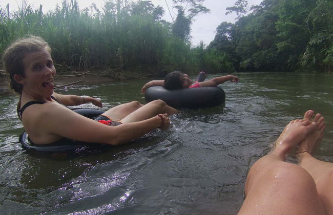 Whale Watching in Bahía Solano - Foto 7