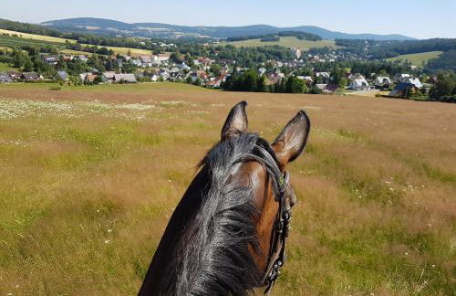 Gutshof Schirgiswalde - Foto 14
