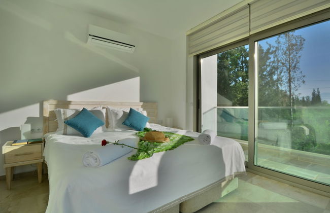 Light of Apollon - Foto 6