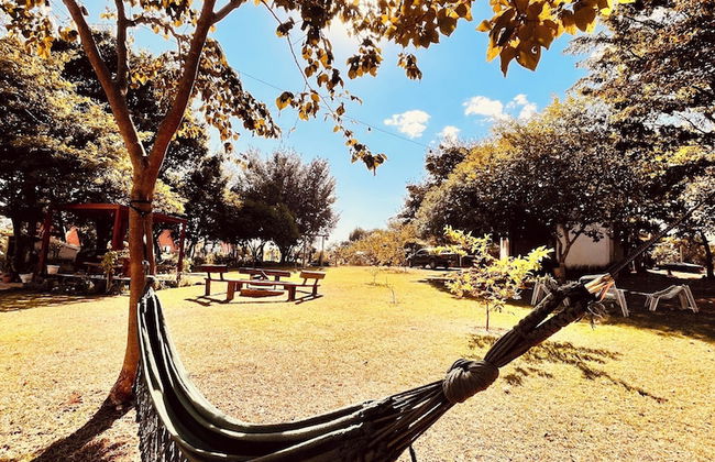 Nativos de Minas - Photo 42