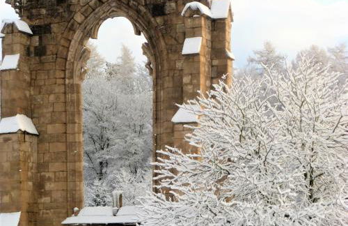 Ferienwohnungen Klosterblick - Photo 46