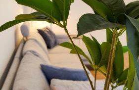 Hygge Home - mit Garten und Stellplatz für Feriengäste-, Monteure / Netflix / 10 min. zur Sinsheim Therme und zur Autobahn - Photo 21