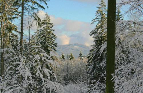 Apartment in Tannesberg Near Goldsteig Trail - Foto 66