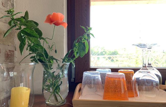 Tenuta di Cascina Diavolo dei Boschi - Foto 11