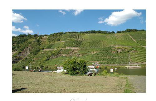 Ferienweingut Lütz - Foto 24