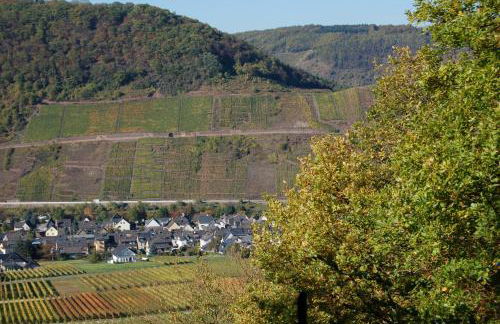 Ferienhaus Mosel Bub - Foto 28