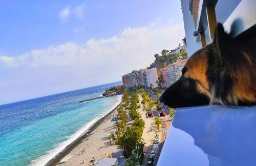 Apartamento Cruise Views - Photo 30