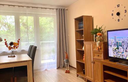 Apartament na Saperskiej, osiedle zamknięte, parking - Foto 20