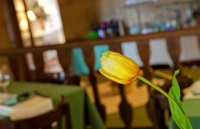 A Casa da Torre Branca - Foto 18