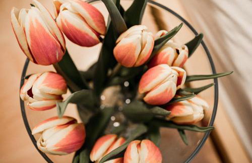 Paradies Im Schwarzwald - Foto 53