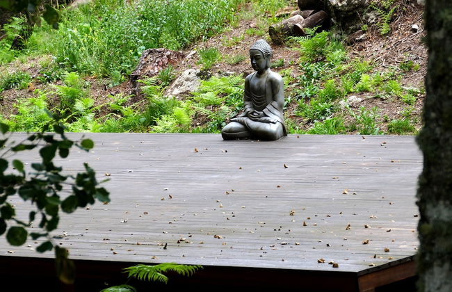 Moinho da Lapa - Foto 23