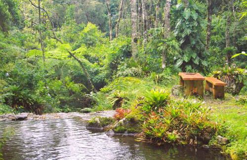 Hotel São Gotardo - Photo 54