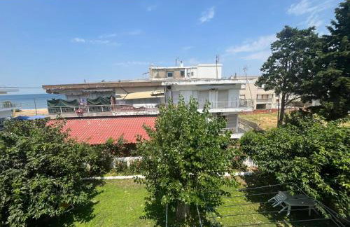 Sempre Viva - Foto 24