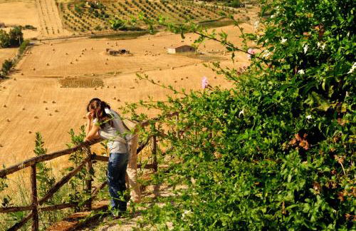 Agriturismo Villa Dafne - Foto 46