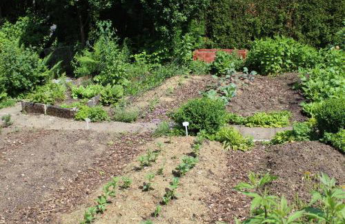 Landhaus Almyssen - Foto 38