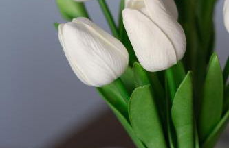 FEWOHOME Lothe Schieder Schwalenberg Schiedersee - Foto 31