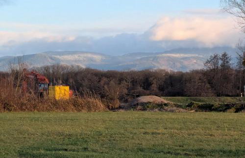Badischer Neubau-Ruhe-Kunst-Natur - Foto 28