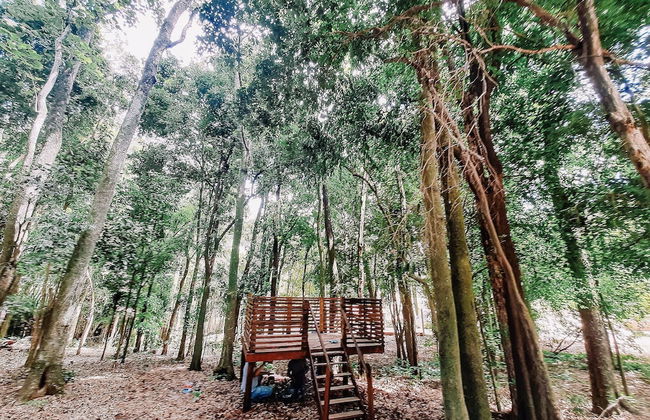 Recanto das Videiras - Foto 54